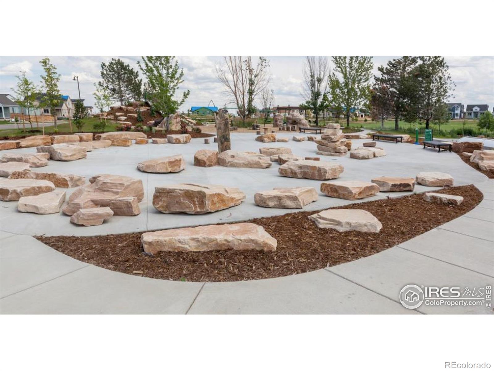 MLS Image #40 for 6013  goodnight avenue,timnath, Colorado