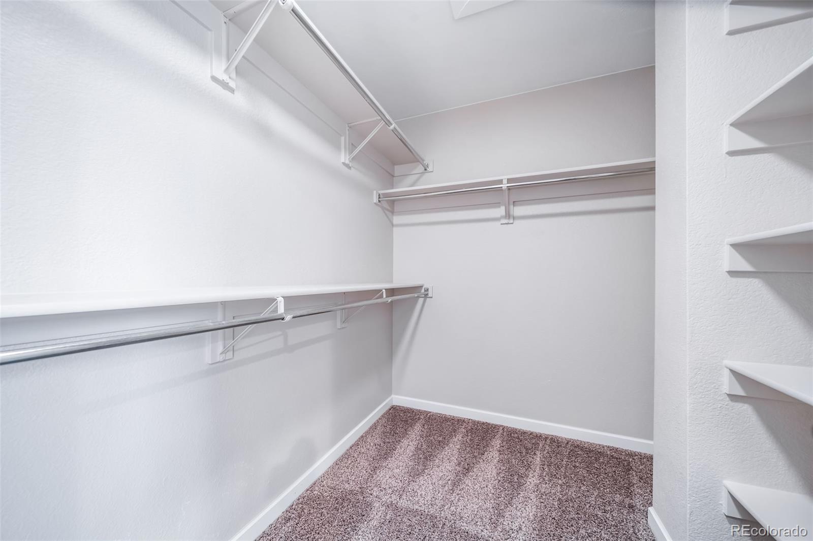 MLS Image #39 for 10818  mcclellan road,parker, Colorado