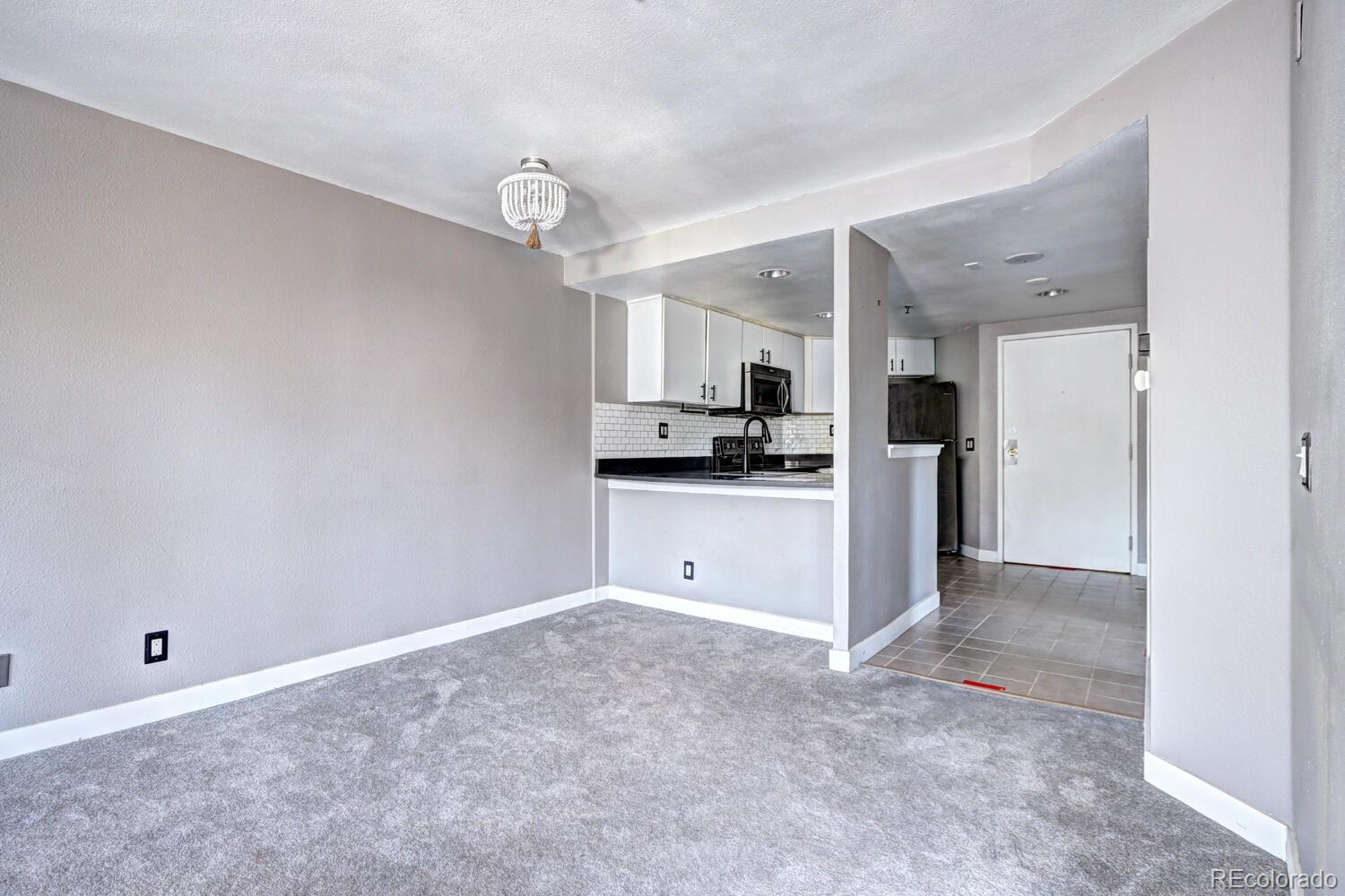 MLS Image #11 for 100  park avenue 204,denver, Colorado