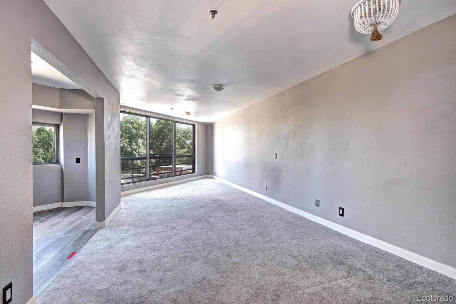 MLS Image #3 for 100  park avenue 204,denver, Colorado