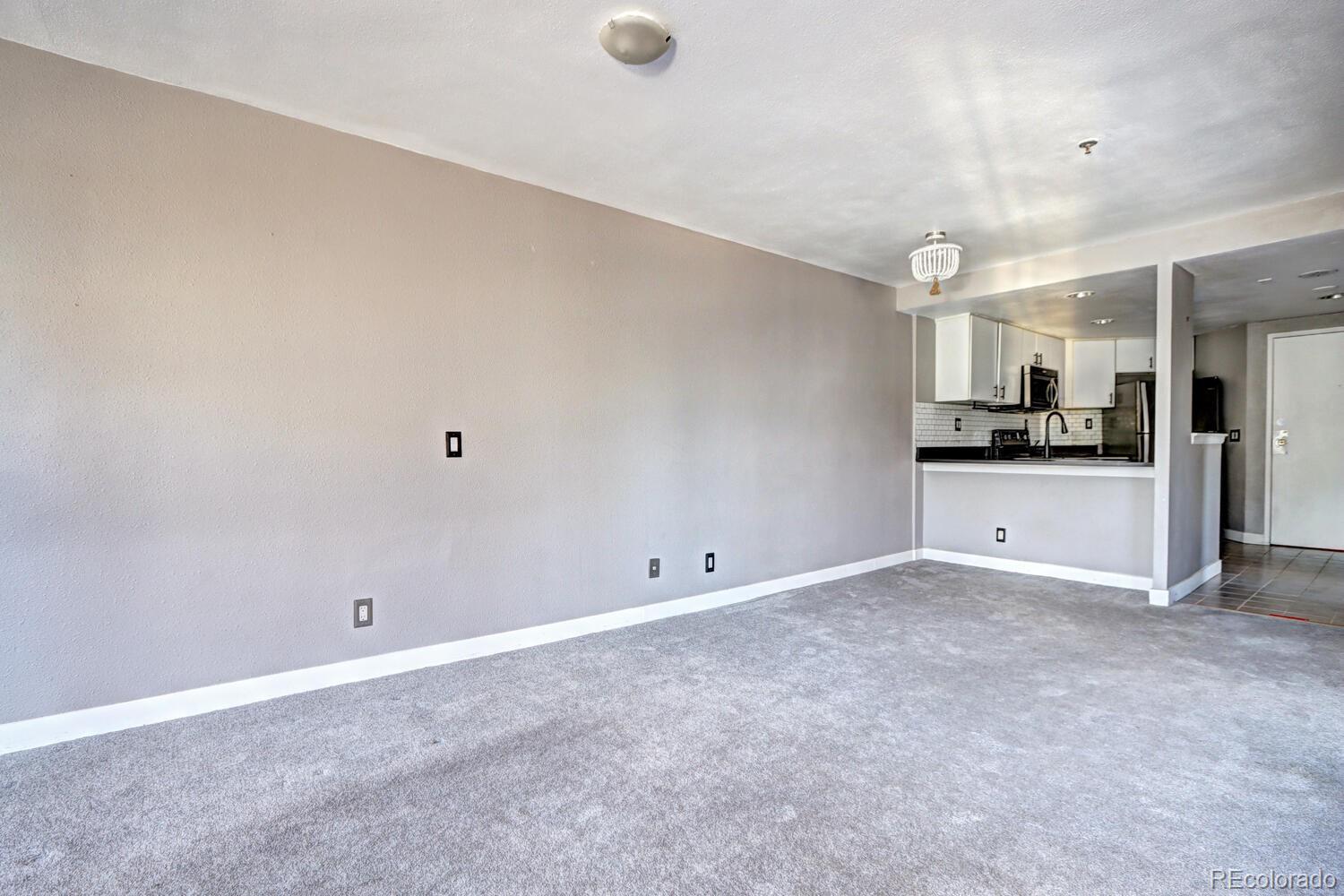 MLS Image #8 for 100  park avenue 204,denver, Colorado