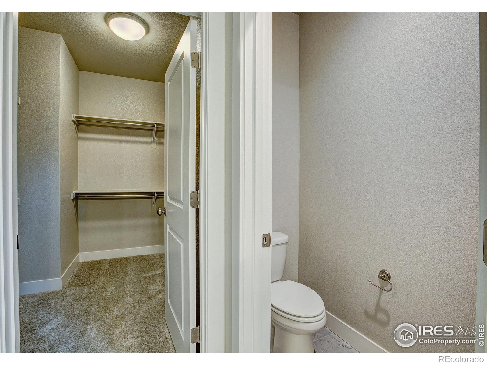 MLS Image #15 for 6227  vernazza way,windsor, Colorado
