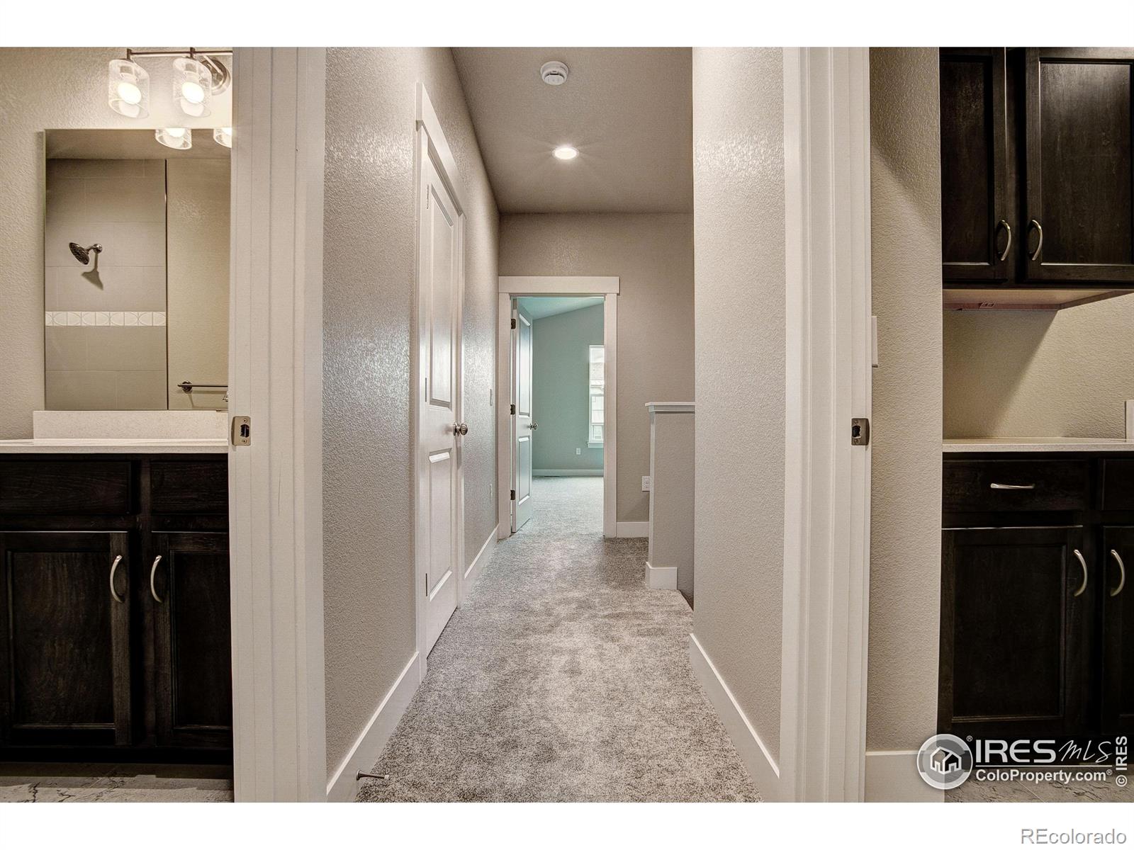 MLS Image #20 for 6227  vernazza way,windsor, Colorado