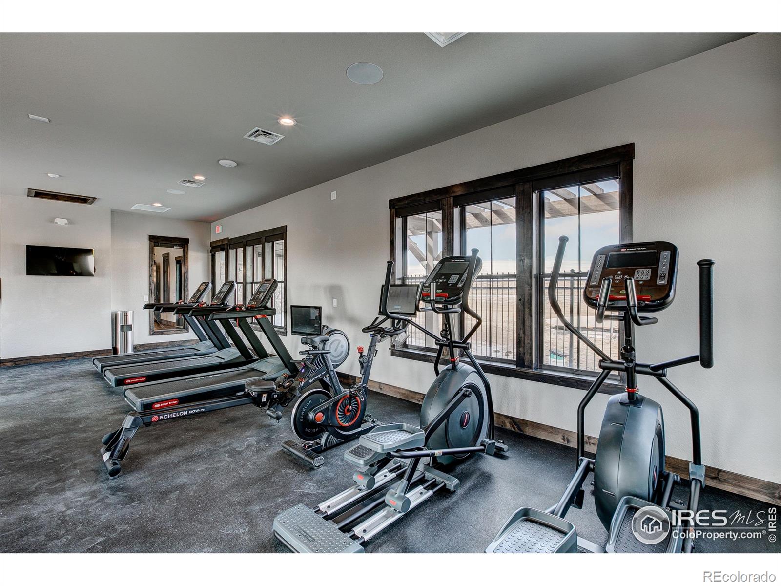 MLS Image #28 for 6227  vernazza way,windsor, Colorado