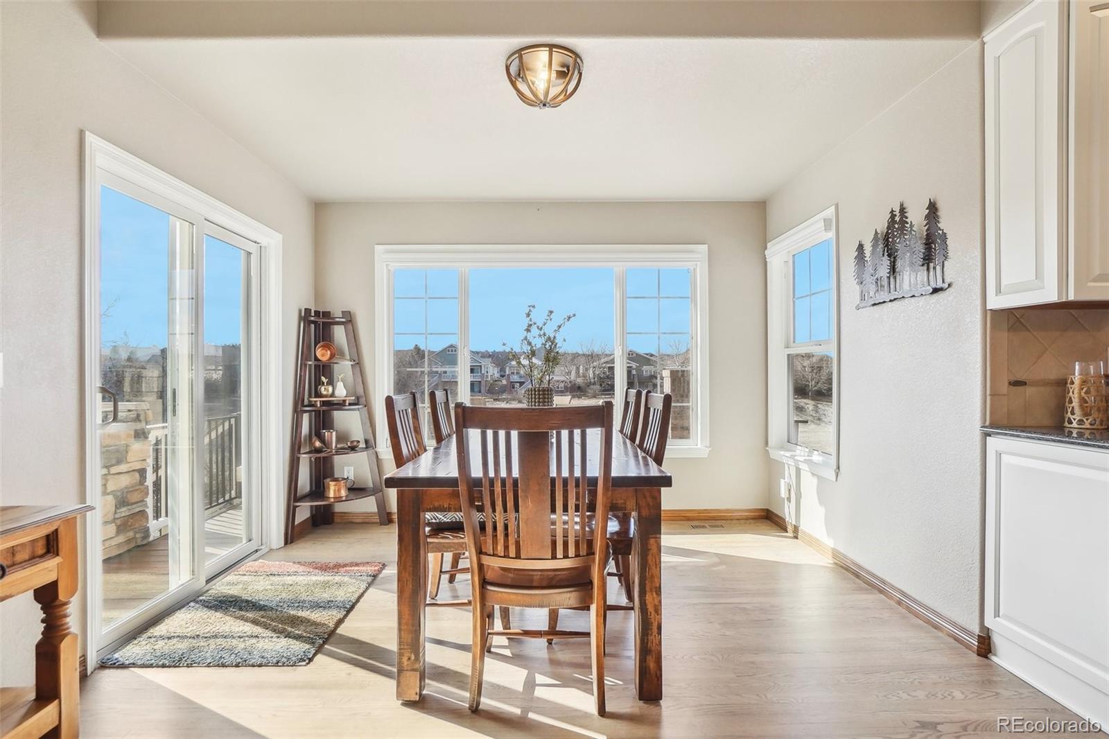 MLS Image #18 for 8131 s coolidge way,aurora, Colorado