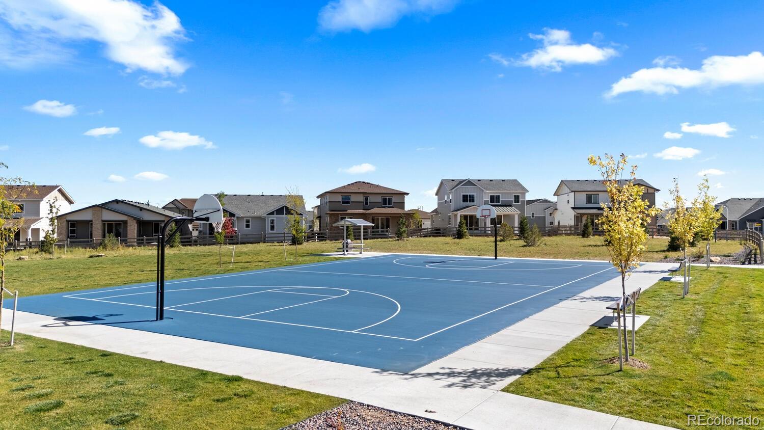 MLS Image #43 for 8785  whiteclover street,littleton, Colorado
