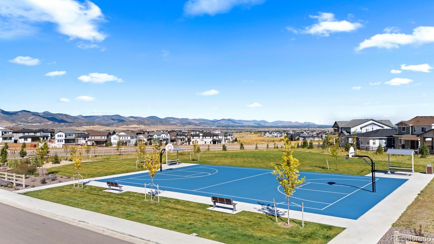 MLS Image #44 for 8785  whiteclover street,littleton, Colorado