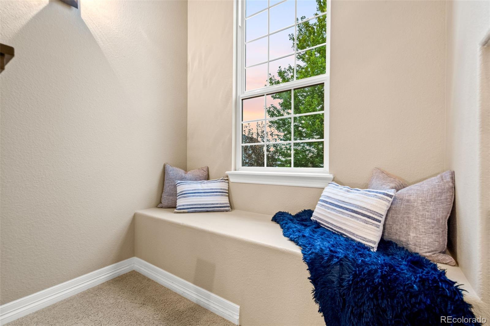MLS Image #18 for 5033  silver feather way,broomfield, Colorado