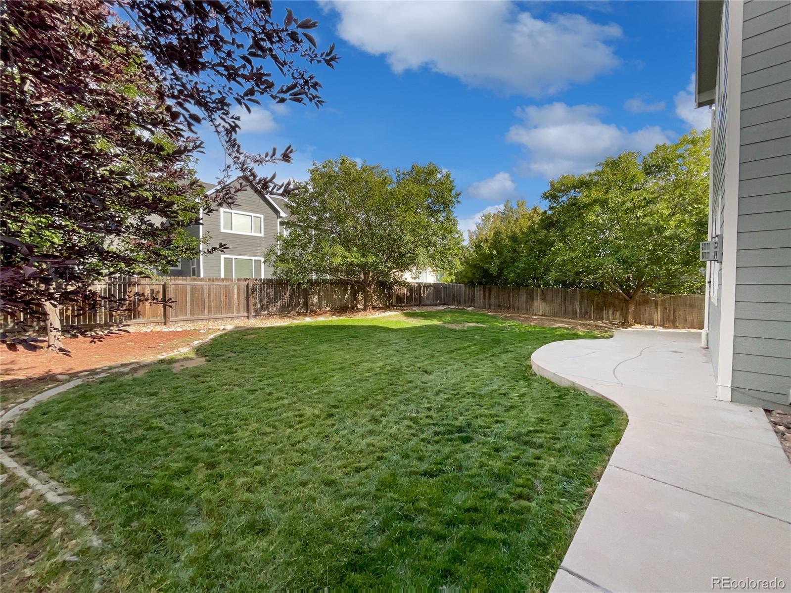 MLS Image #16 for 5606  calgary street,timnath, Colorado