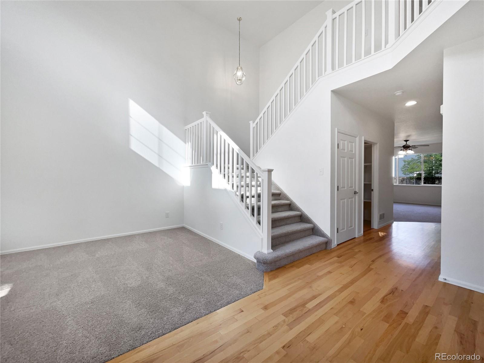 MLS Image #22 for 5606  calgary street,timnath, Colorado
