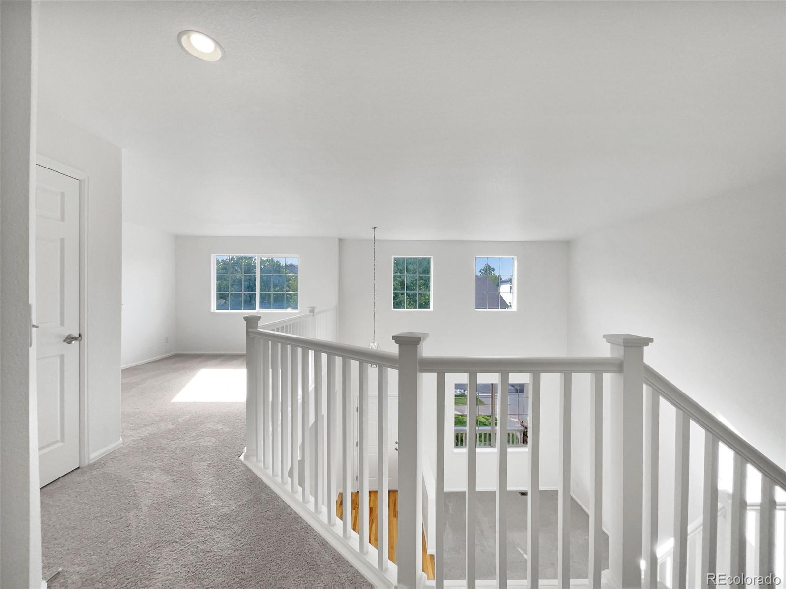 MLS Image #32 for 5606  calgary street,timnath, Colorado