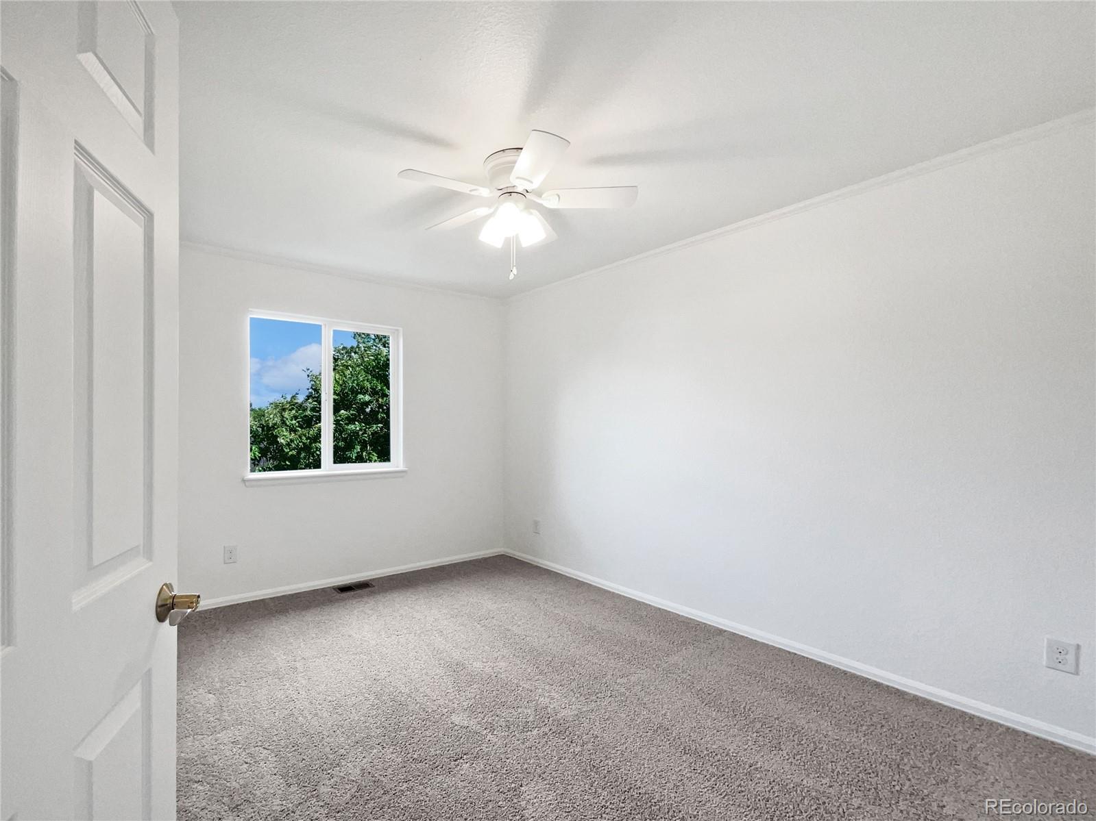MLS Image #35 for 5606  calgary street,timnath, Colorado