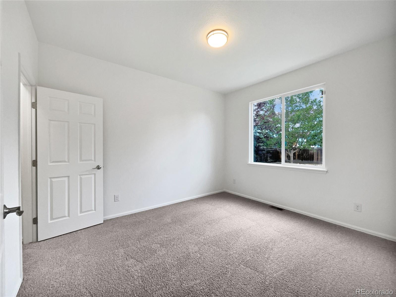 MLS Image #4 for 5606  calgary street,timnath, Colorado