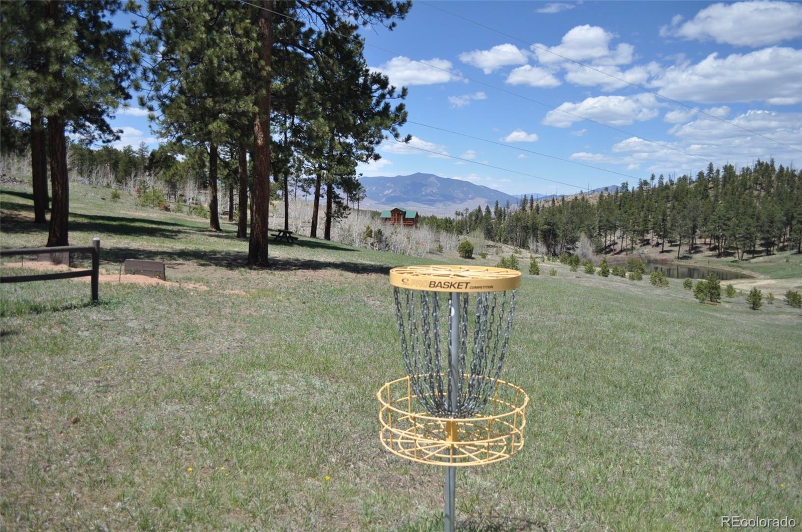 MLS Image #12 for 1395  applebyy drive,woodland park, Colorado