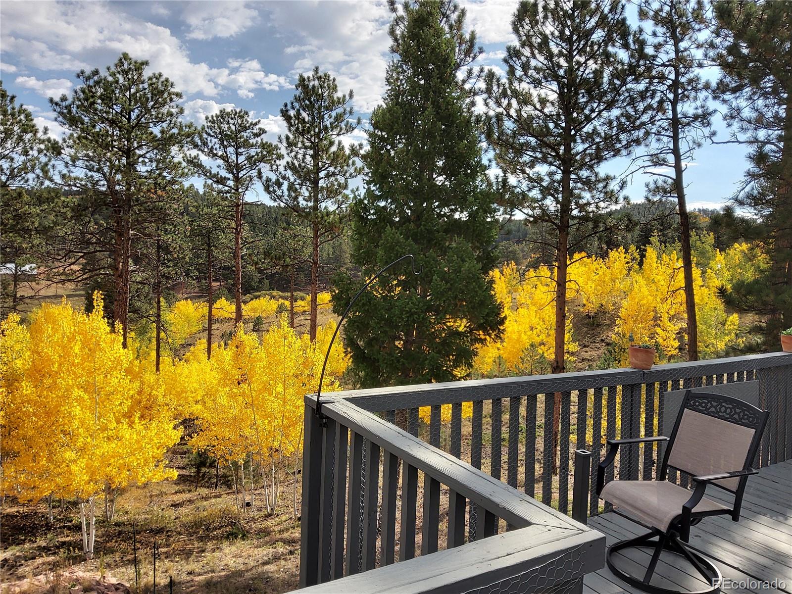 MLS Image #4 for 1395  applebyy drive,woodland park, Colorado