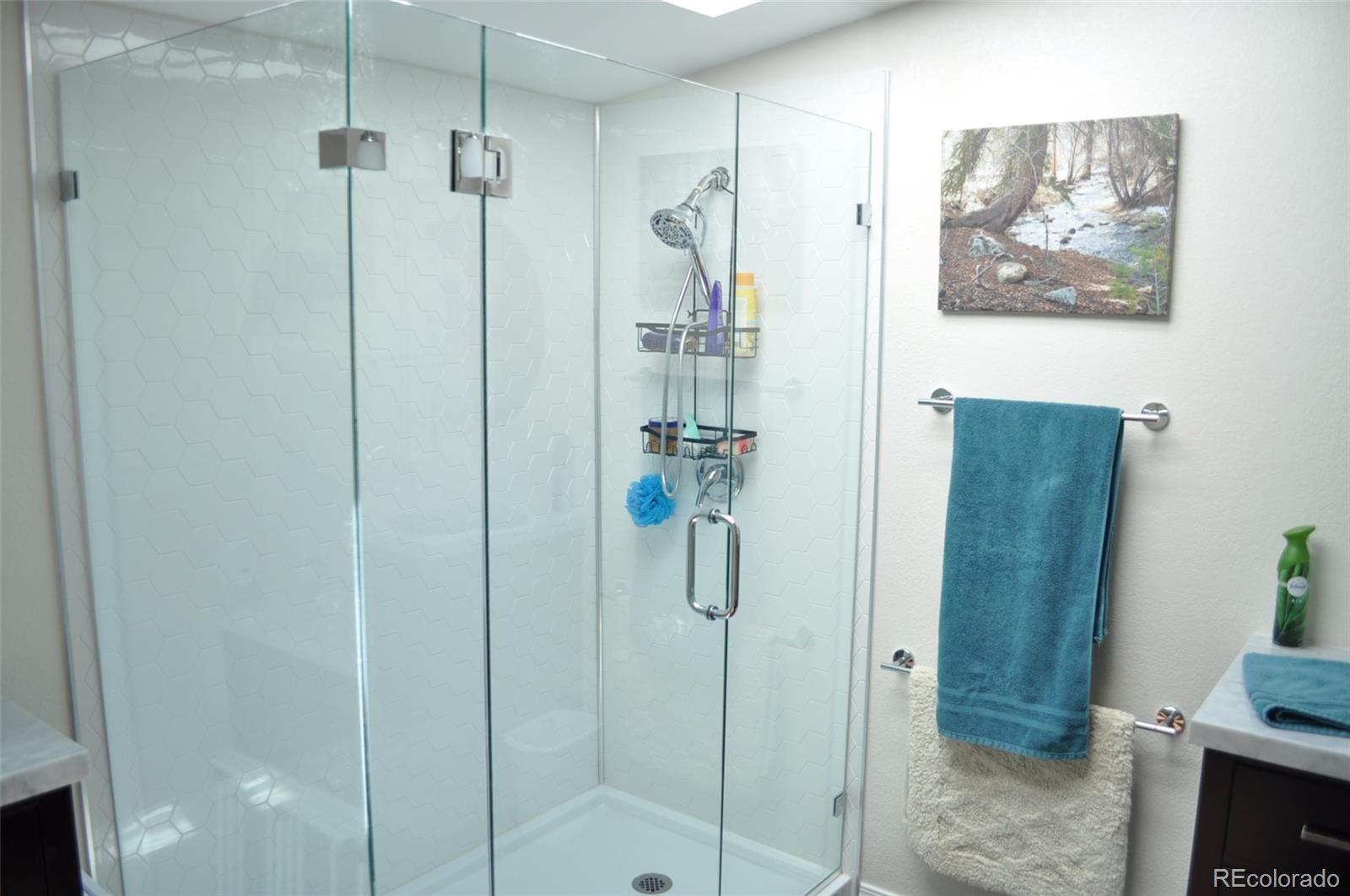 MLS Image #5 for 1395  applebyy drive,woodland park, Colorado