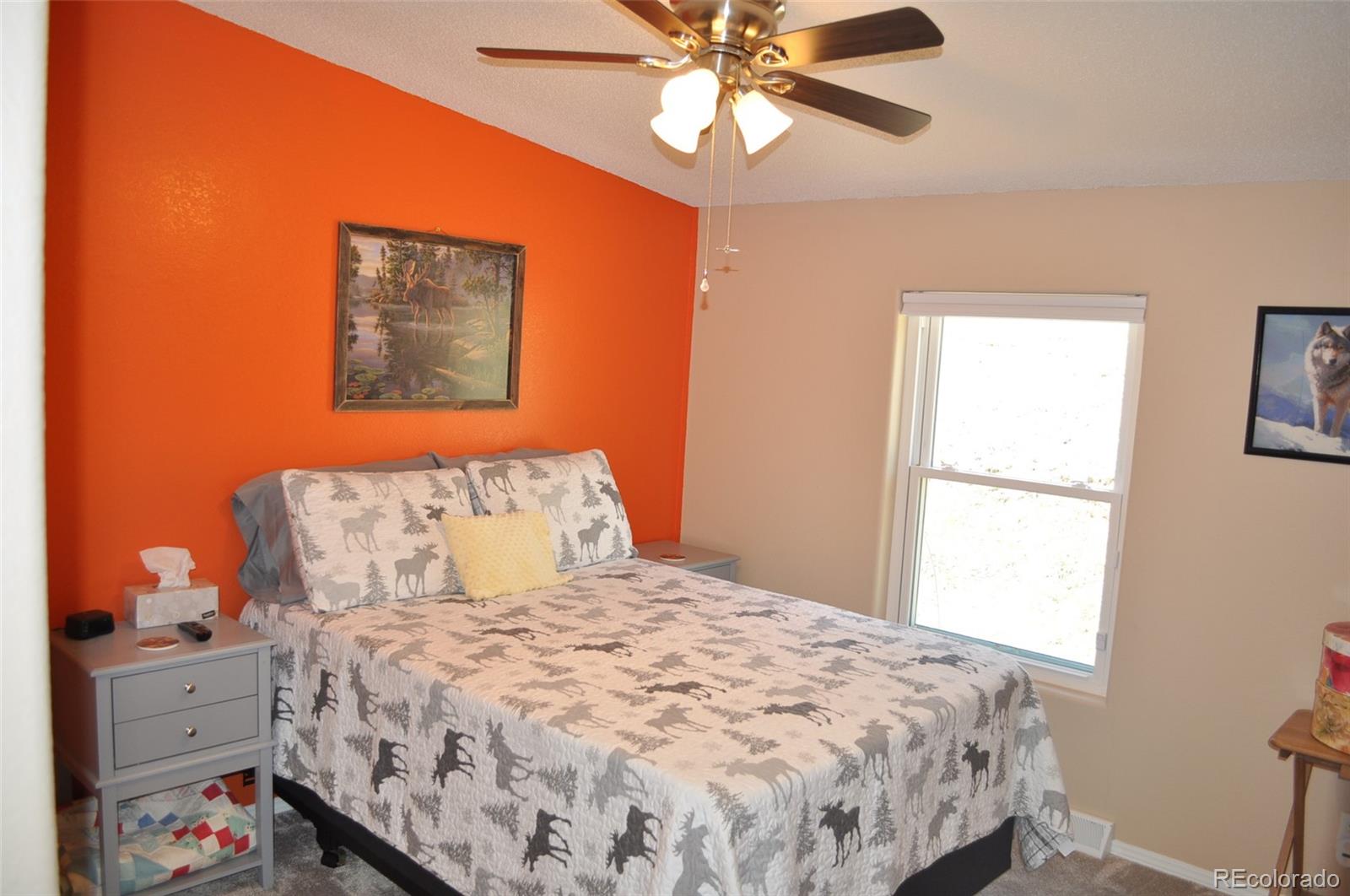 MLS Image #6 for 1395  applebyy drive,woodland park, Colorado