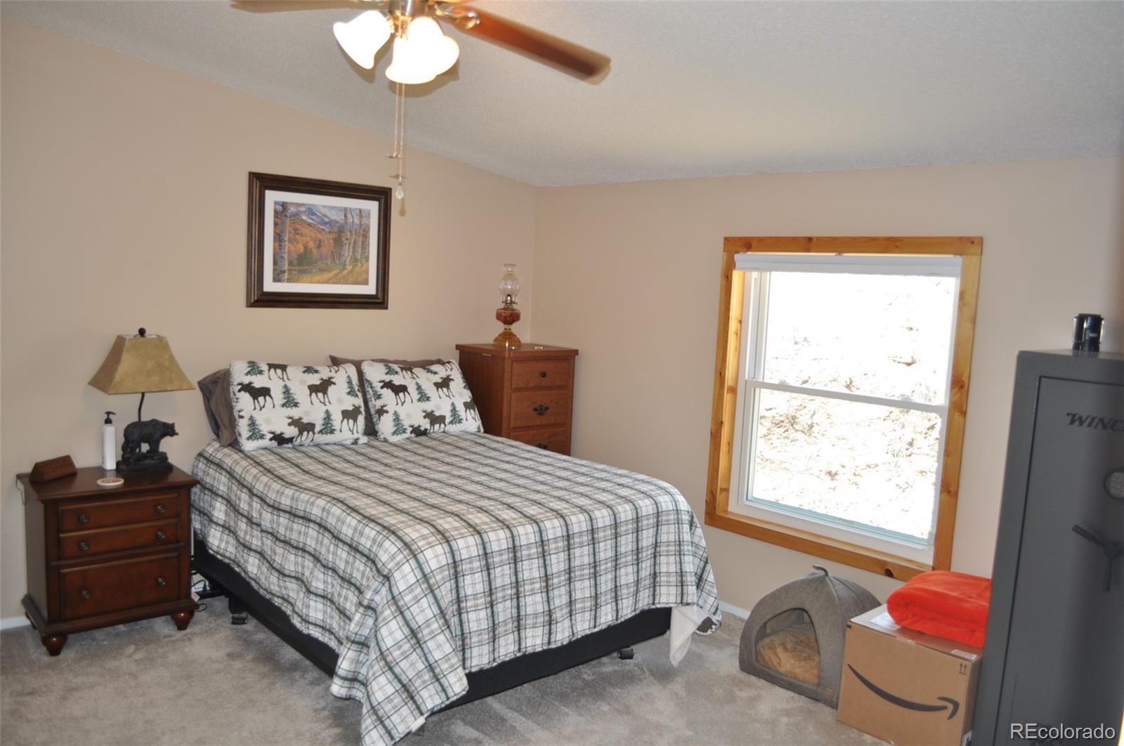 MLS Image #8 for 1395  applebyy drive,woodland park, Colorado