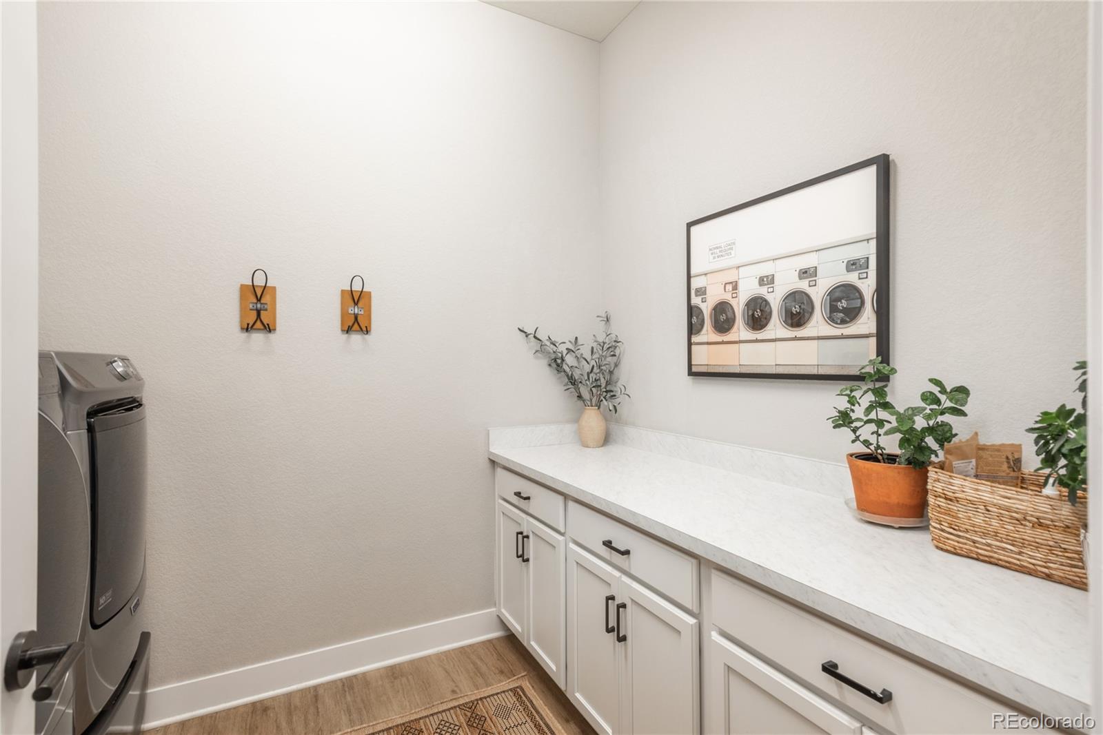 MLS Image #22 for 5665  shadescale way,castle rock, Colorado