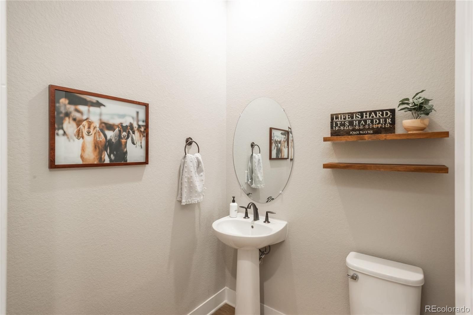 MLS Image #24 for 5665  shadescale way,castle rock, Colorado