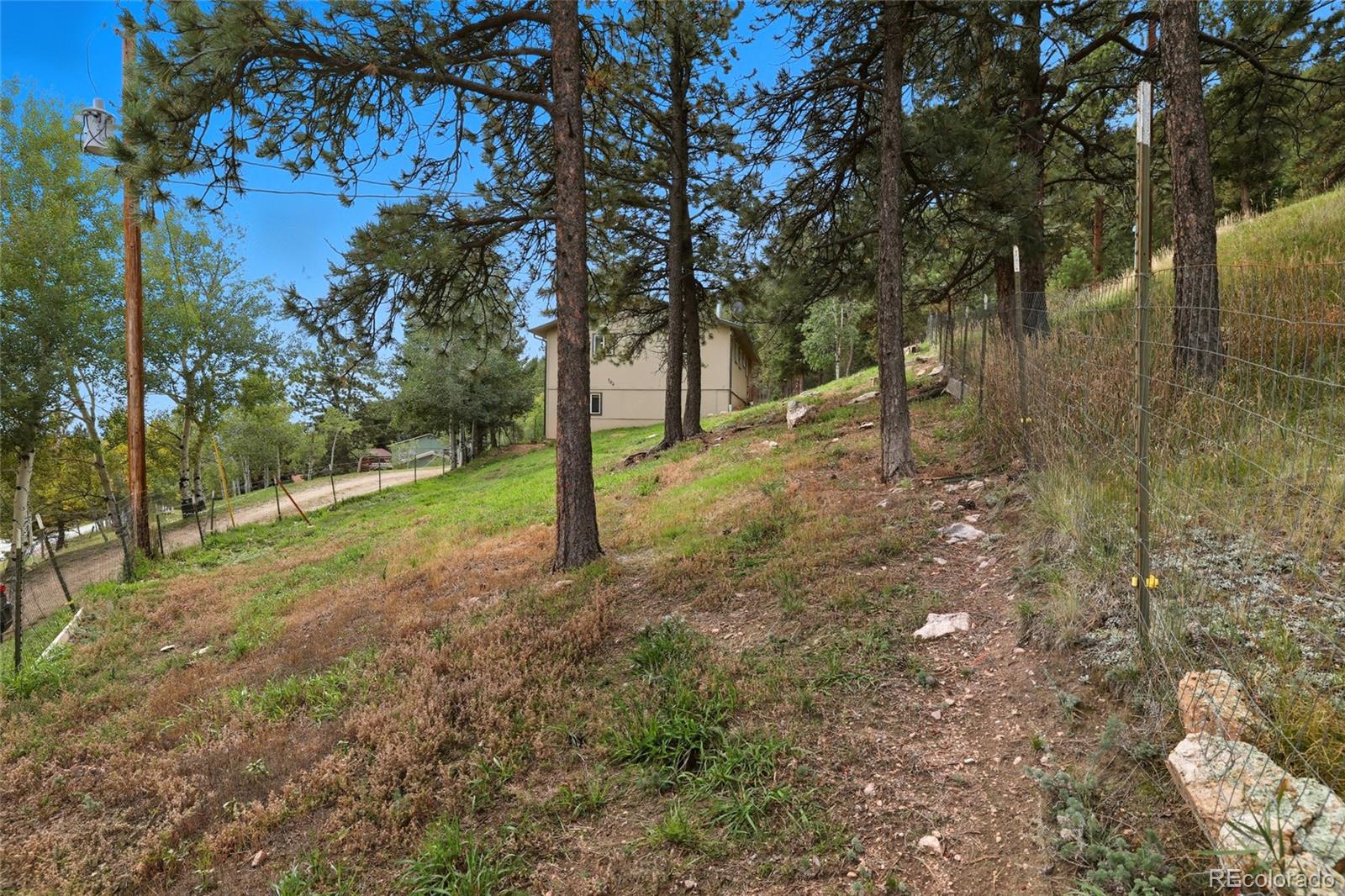 MLS Image #42 for 364  sleepy hollow drive,bailey, Colorado