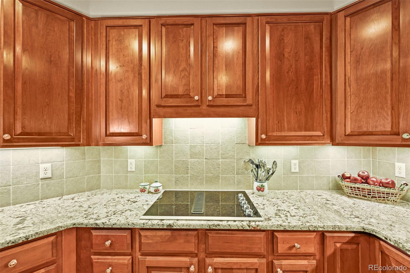 MLS Image #16 for 3223  country club parkway,castle rock, Colorado