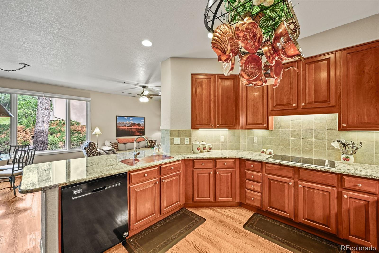 MLS Image #17 for 3223  country club parkway,castle rock, Colorado