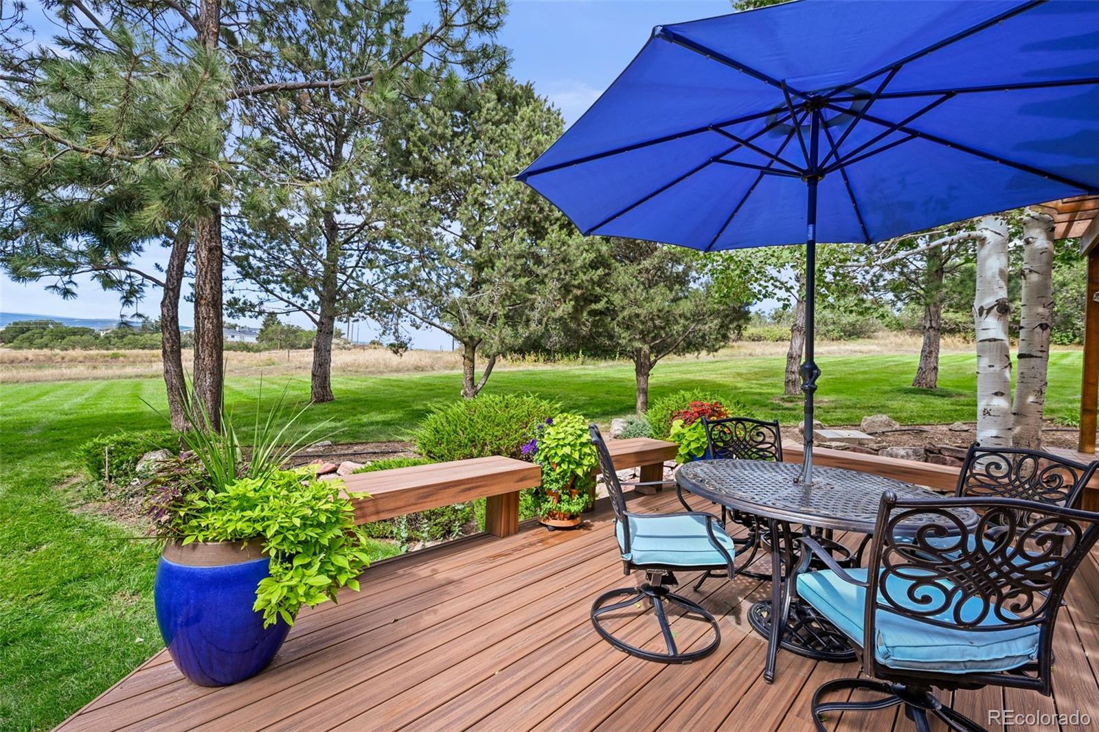 MLS Image #2 for 3223  country club parkway,castle rock, Colorado