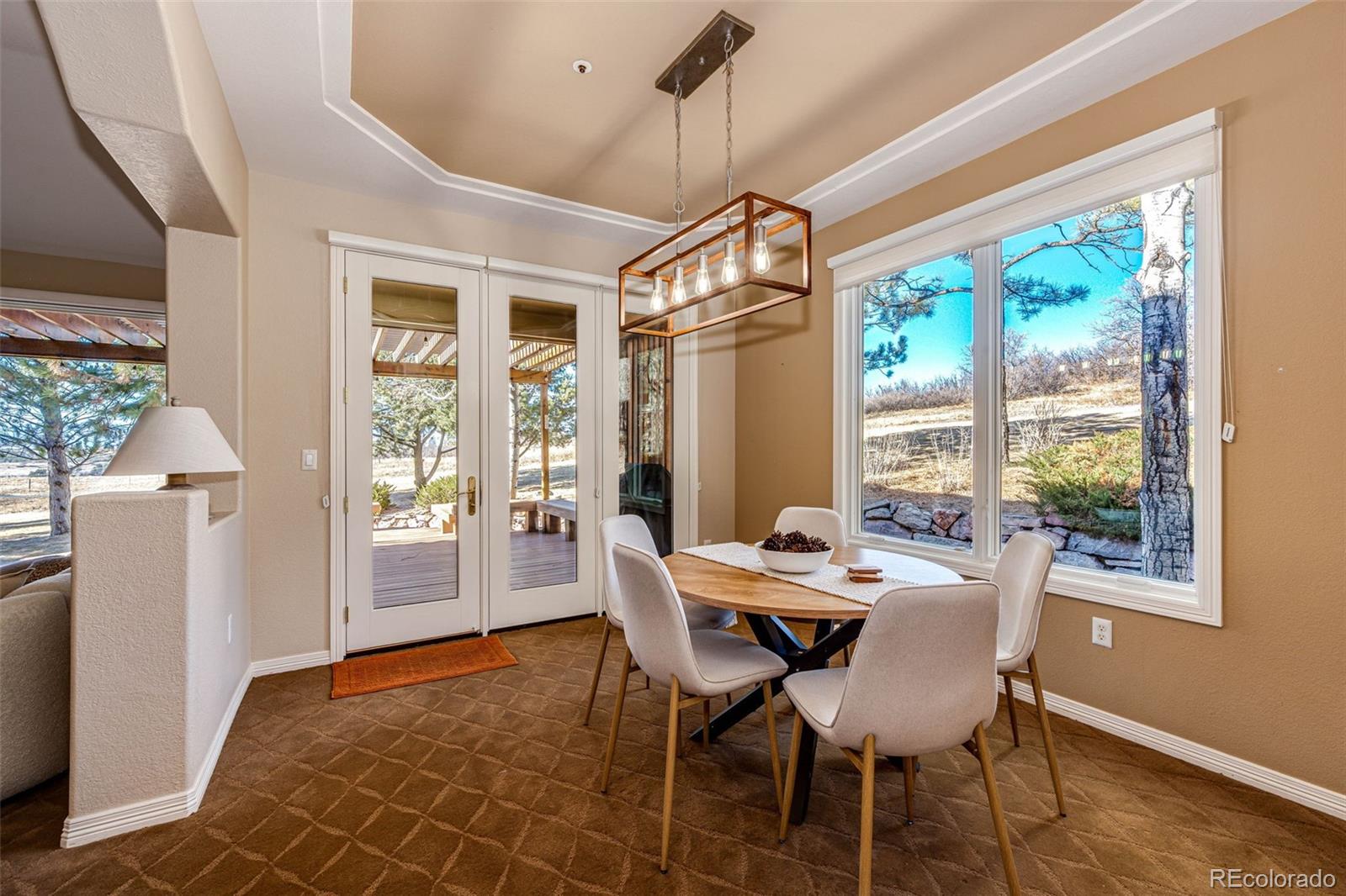 MLS Image #3 for 3223  country club parkway,castle rock, Colorado