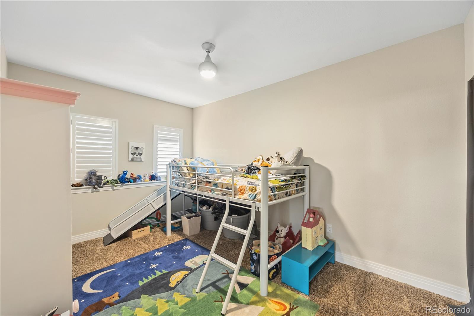 MLS Image #18 for 17635  silver fox court,mead, Colorado