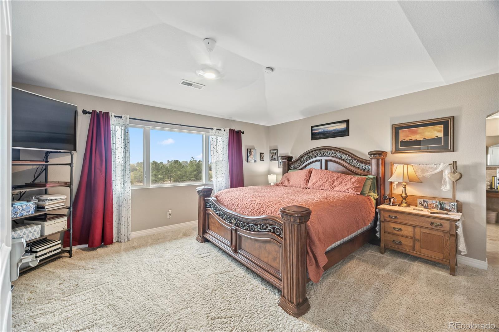 MLS Image #22 for 17635  silver fox court,mead, Colorado