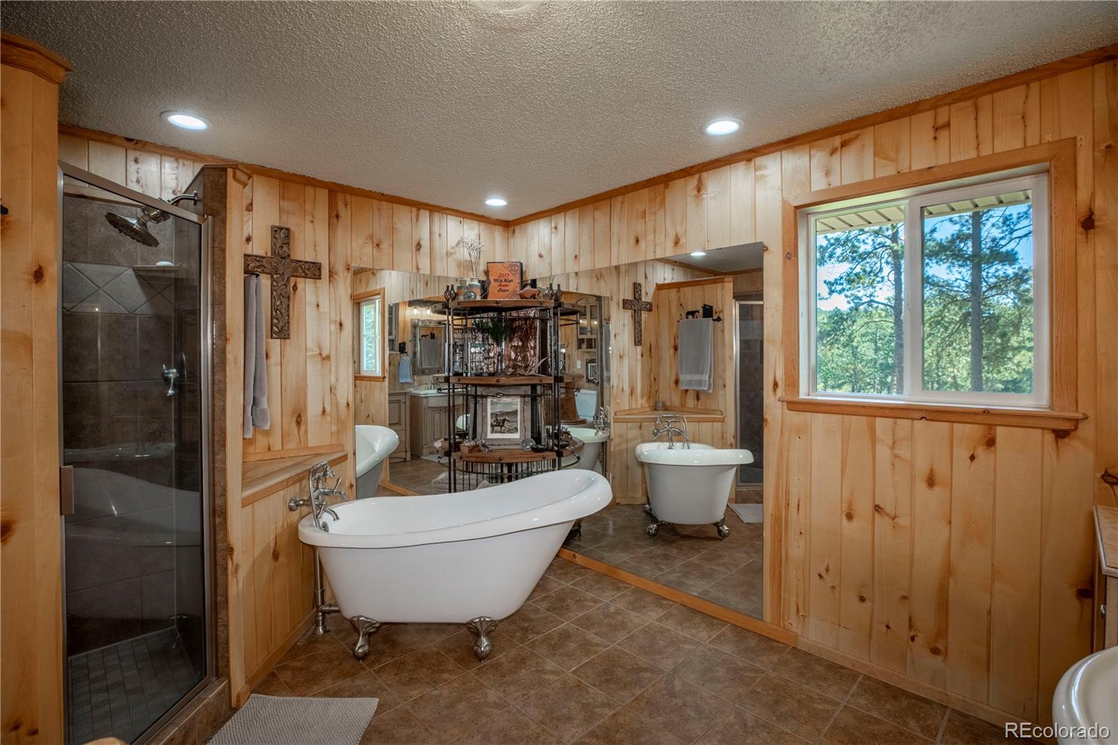 MLS Image #21 for 12322 s wamblee valley road,conifer, Colorado