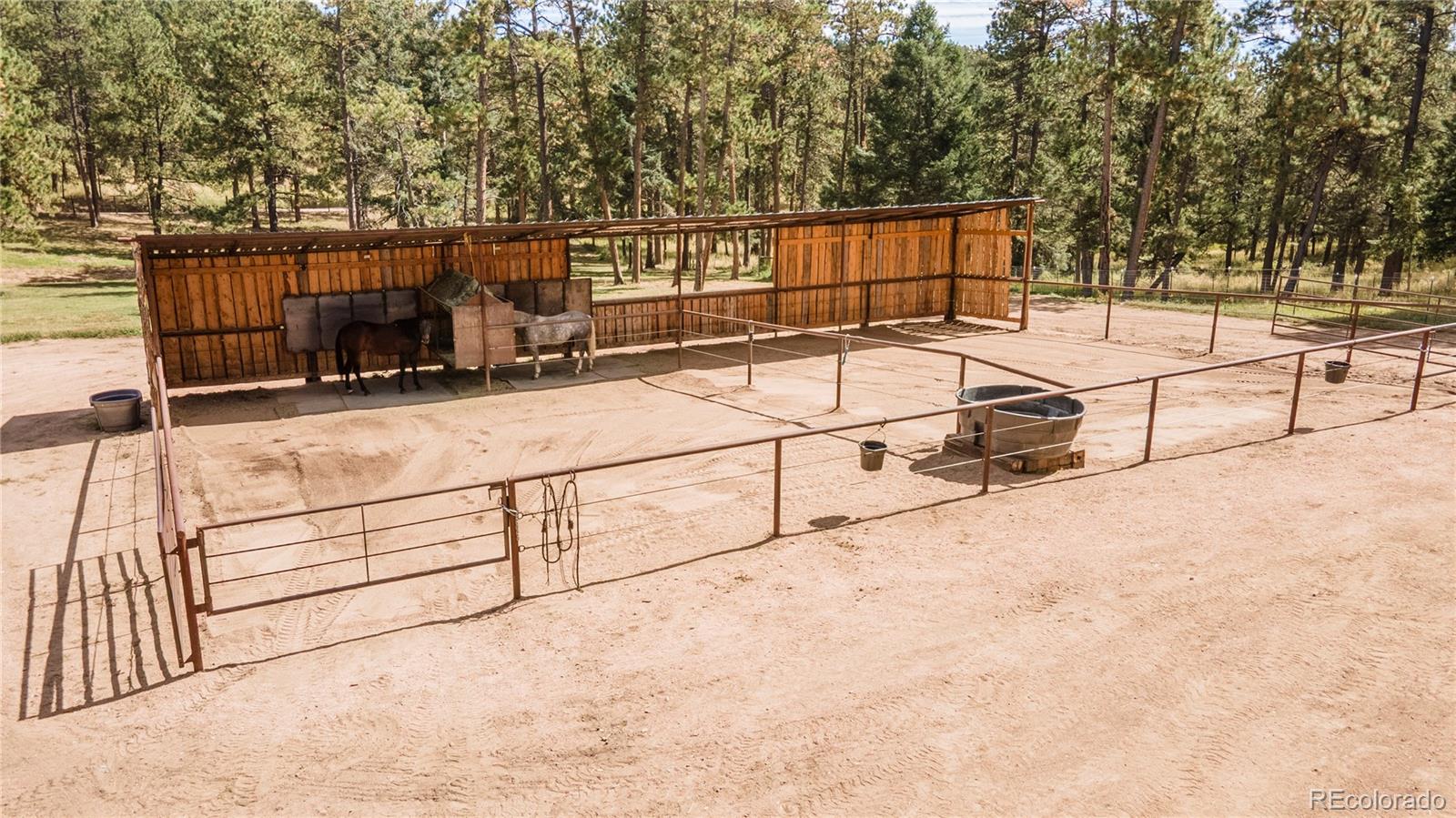 MLS Image #6 for 12322 s wamblee valley road,conifer, Colorado