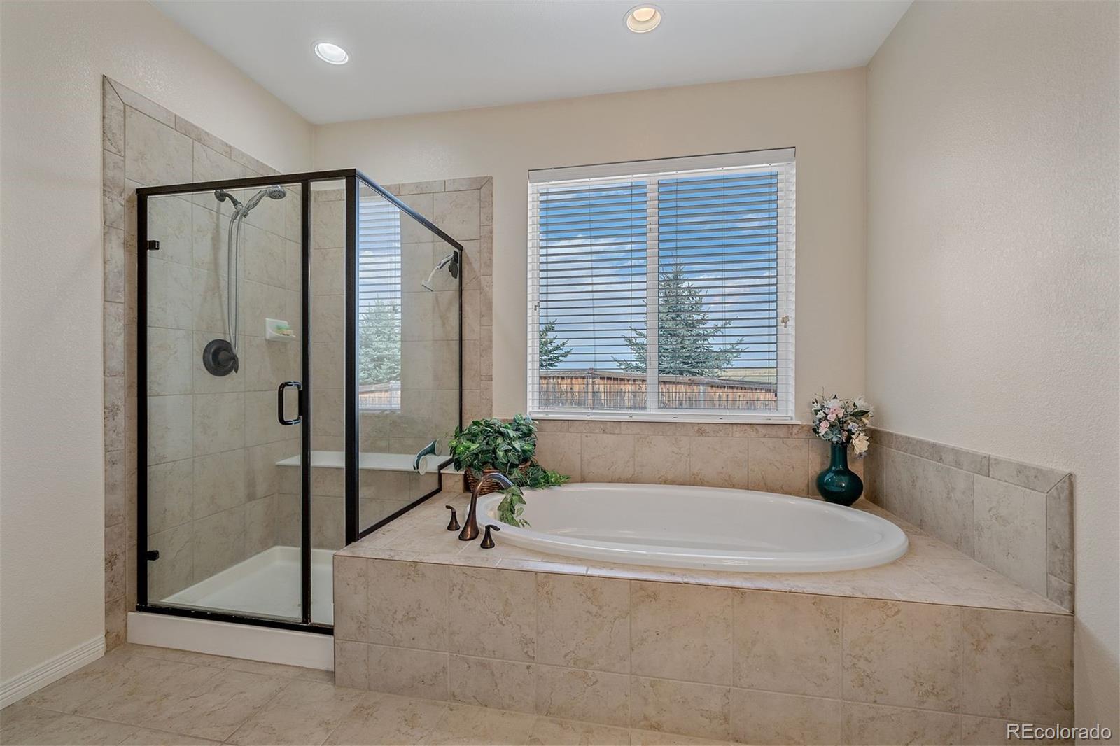 MLS Image #16 for 3217  antelope ridge trail,parker, Colorado
