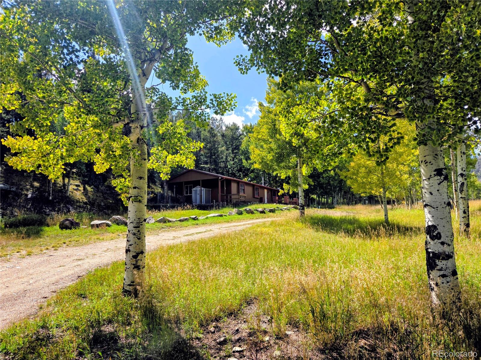 MLS Image #0 for 604 n pine drive,bailey, Colorado