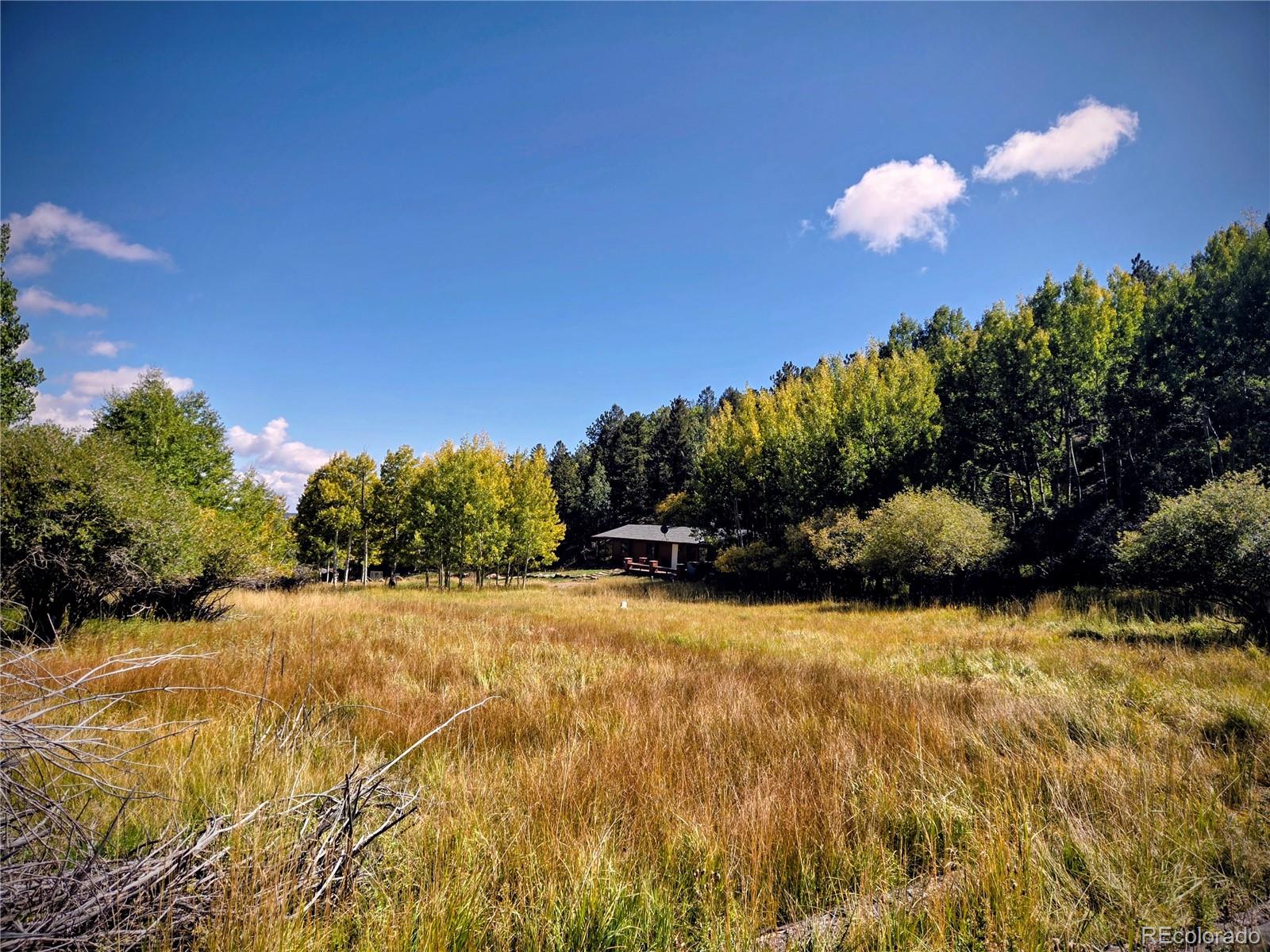 MLS Image #1 for 604 n pine drive,bailey, Colorado