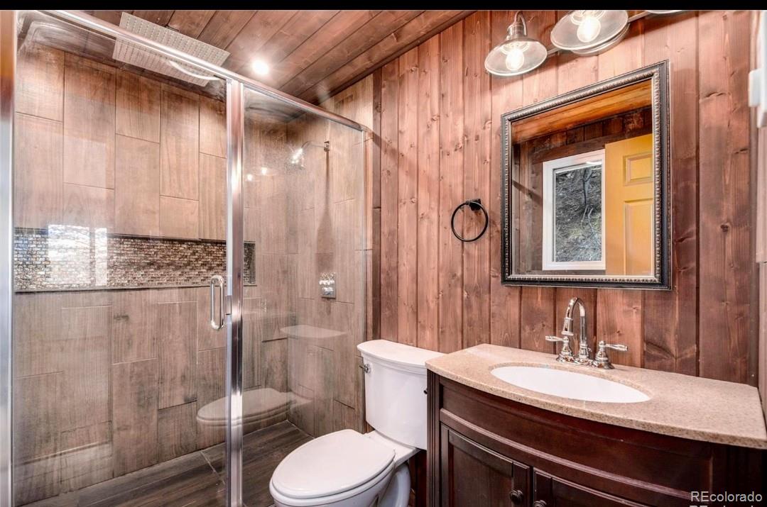 MLS Image #10 for 604 n pine drive,bailey, Colorado