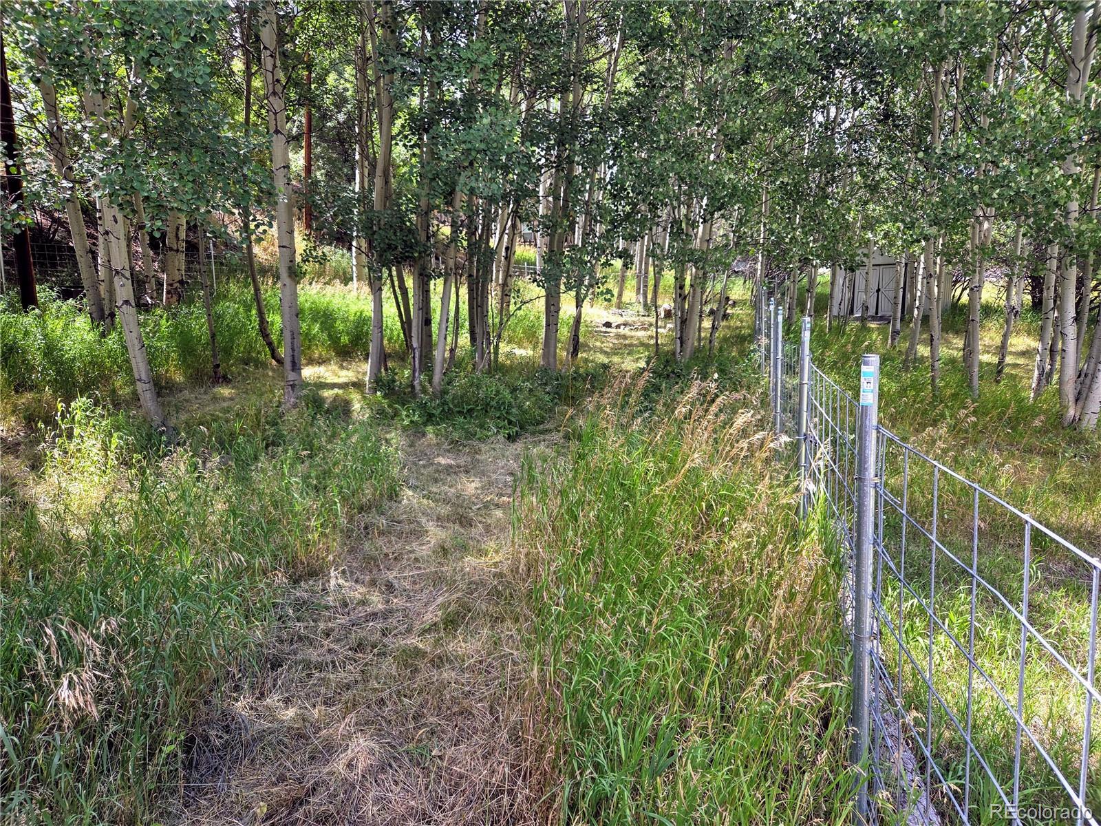 MLS Image #16 for 604 n pine drive,bailey, Colorado