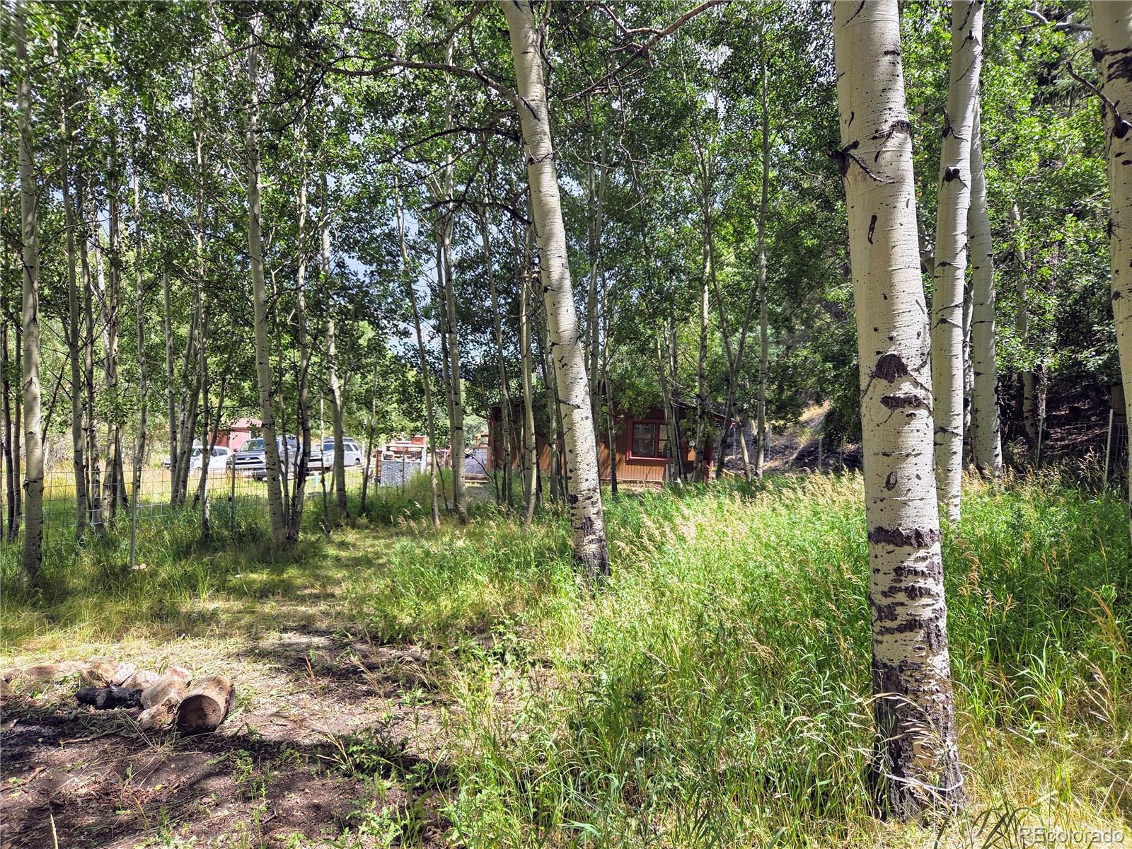 MLS Image #17 for 604 n pine drive,bailey, Colorado