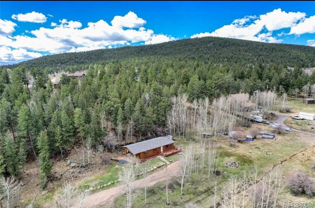 MLS Image #2 for 604 n pine drive,bailey, Colorado