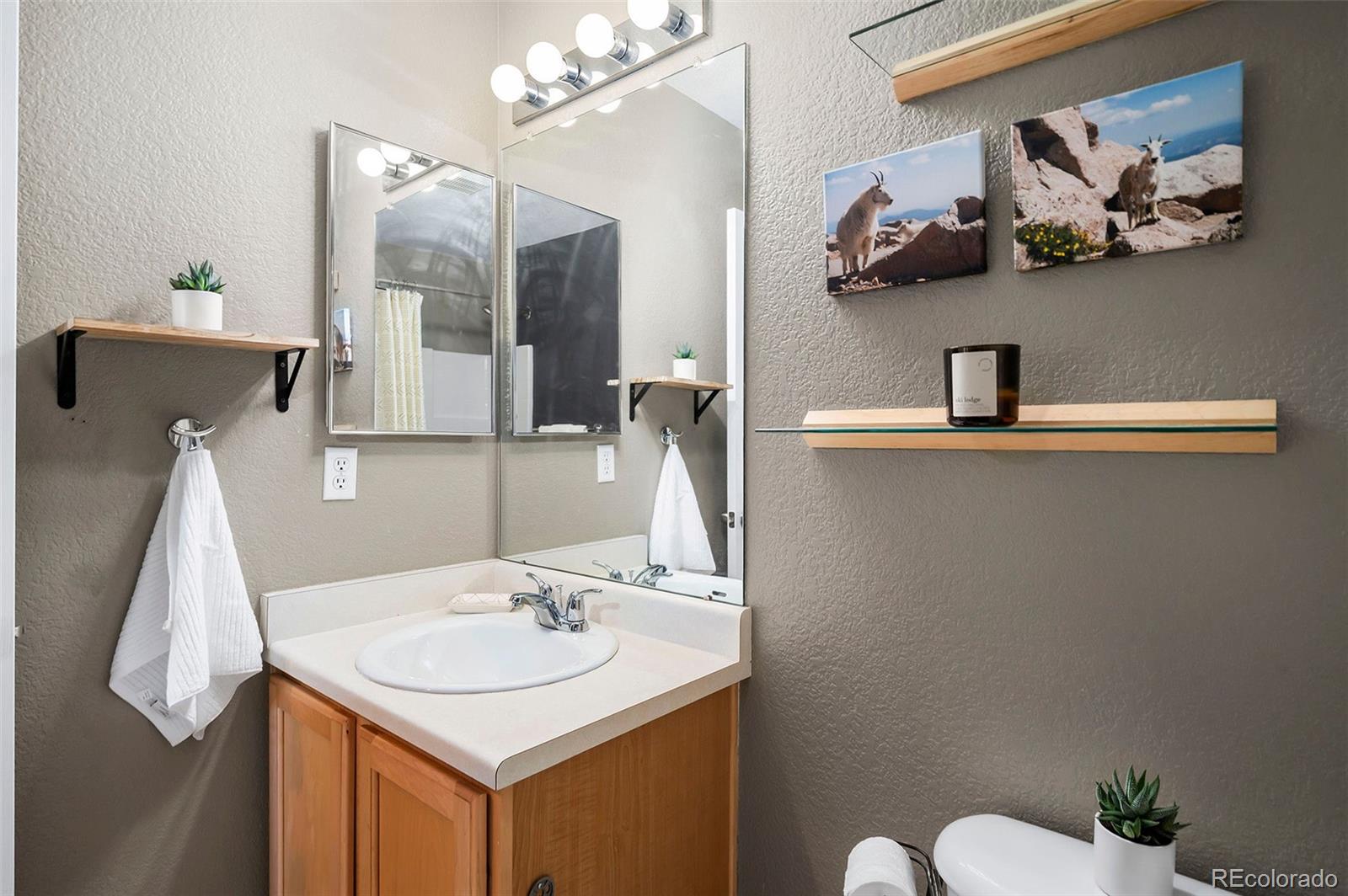 MLS Image #17 for 4570 s swadley court,morrison, Colorado