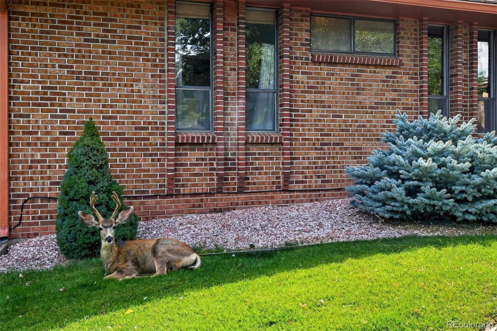 MLS Image #8 for 16066  ridge tee drive,morrison, Colorado