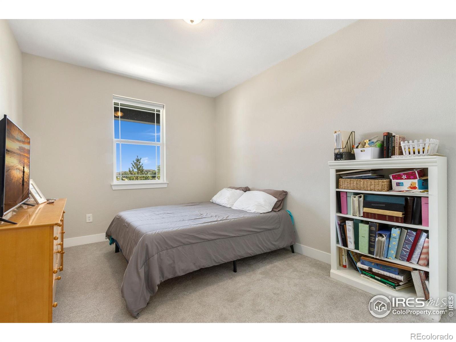 MLS Image #19 for 1726  bounty drive,windsor, Colorado