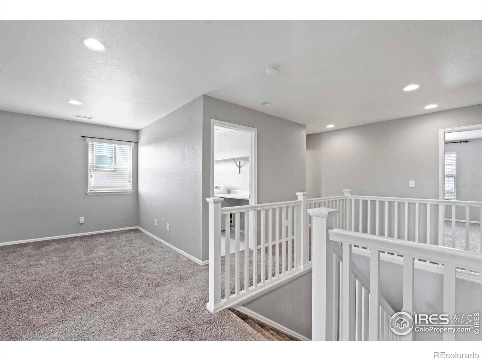 MLS Image #12 for 2275  stonefish drive,windsor, Colorado