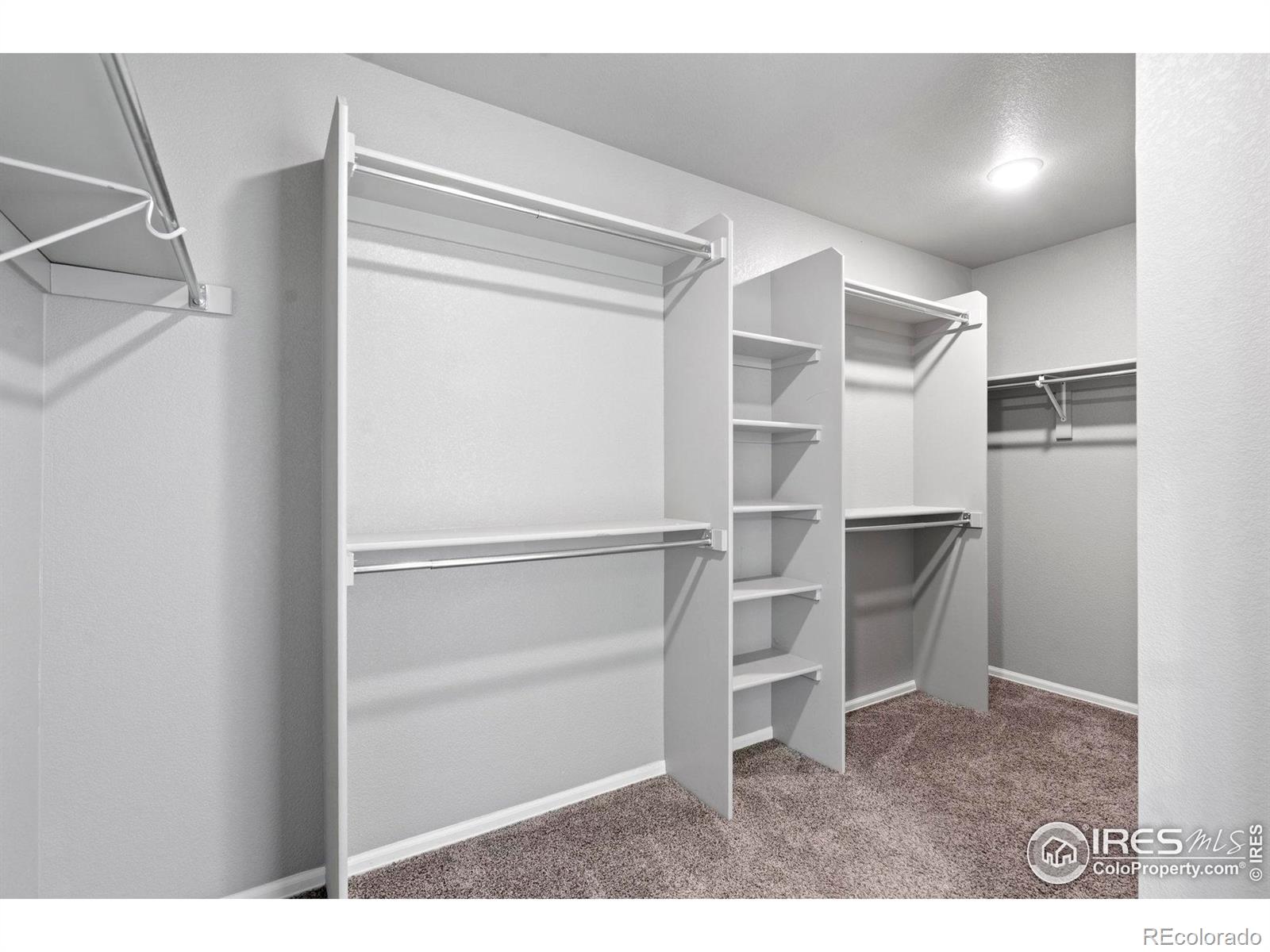 MLS Image #16 for 2275  stonefish drive,windsor, Colorado