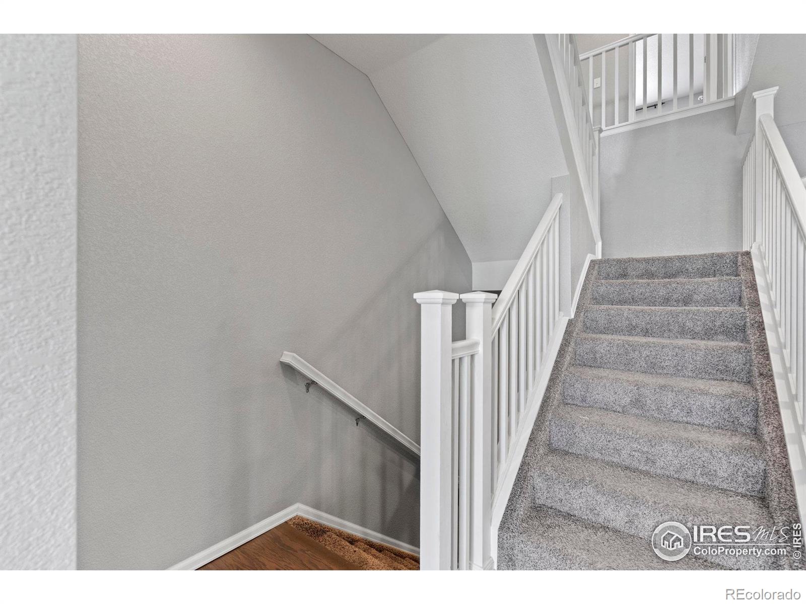 MLS Image #27 for 2275  stonefish drive,windsor, Colorado