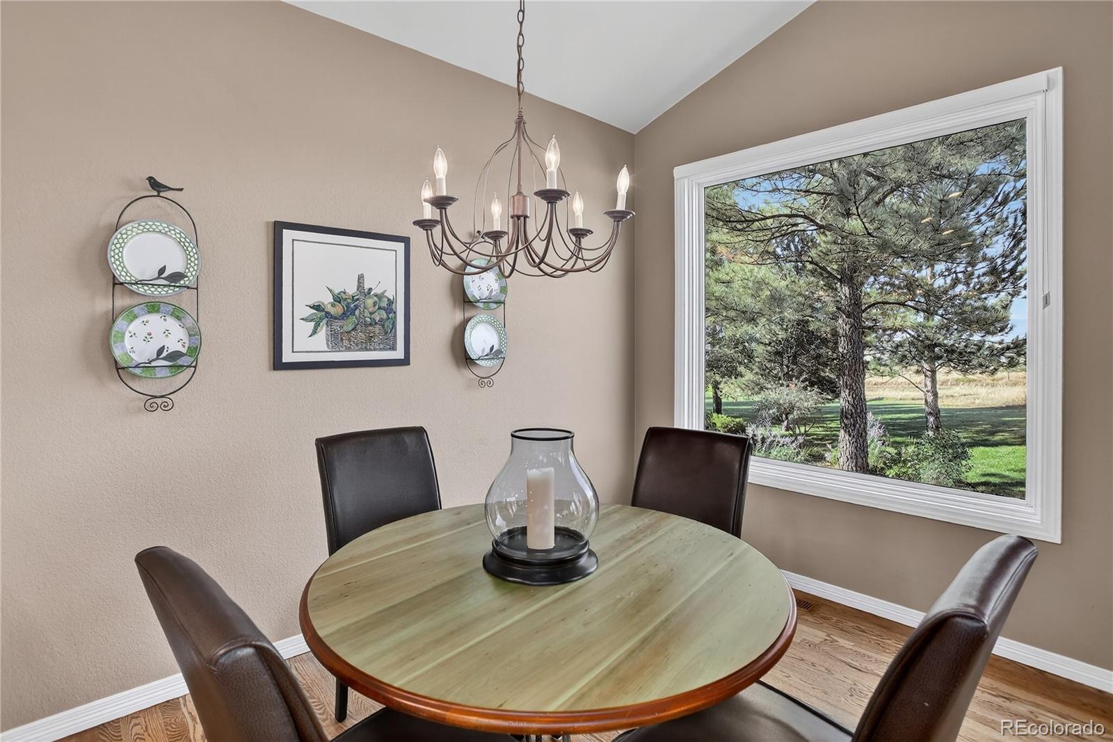 MLS Image #13 for 3224  country club parkway,castle rock, Colorado