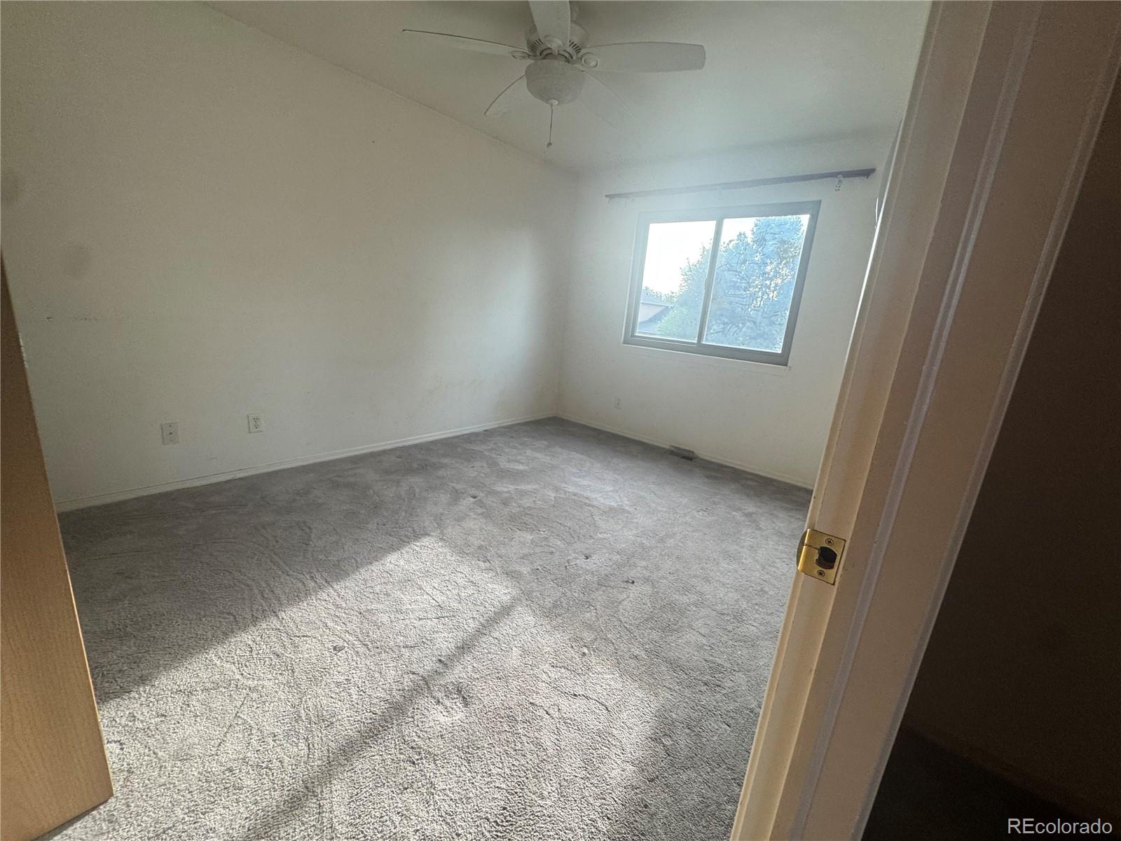 MLS Image #14 for 2437  balsam avenue,greeley, Colorado