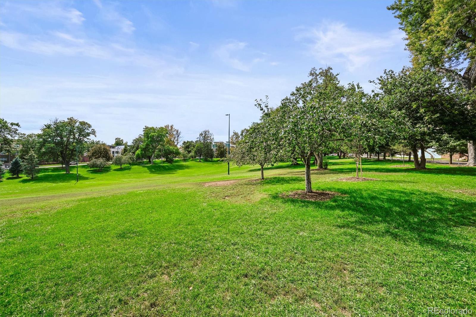 MLS Image #6 for 2801 w 23rd avenue,denver, Colorado