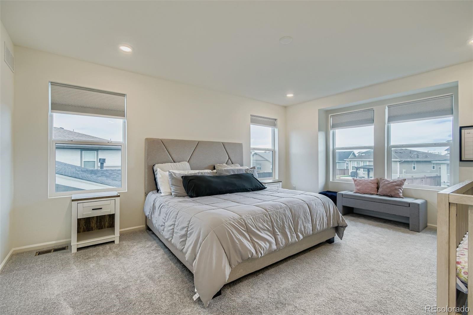 MLS Image #10 for 1894  spotted owl court,brighton, Colorado